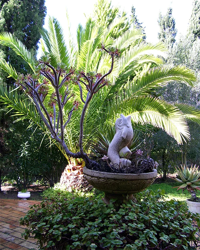 Terrassen & Garten