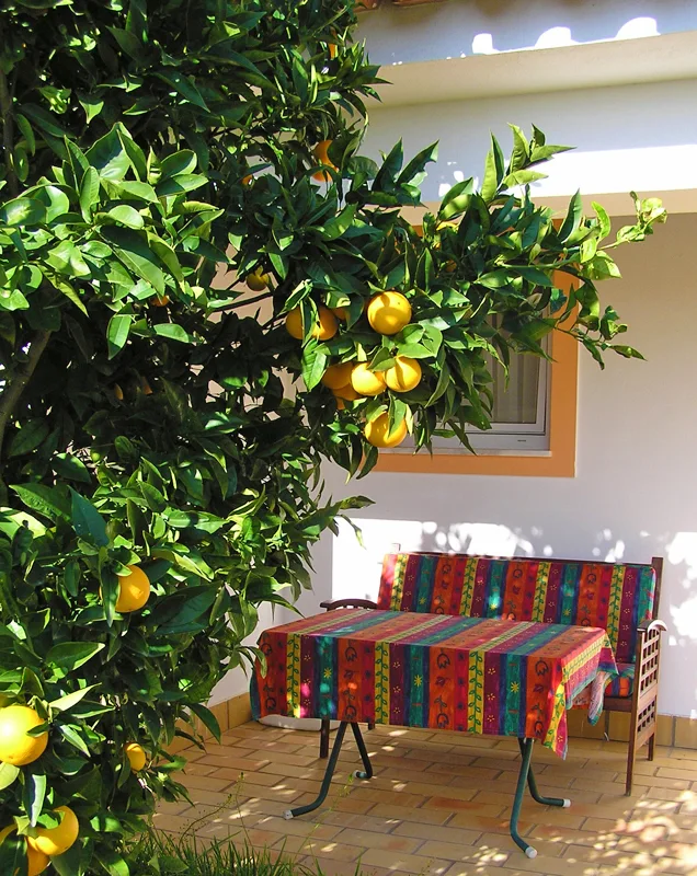 Terrassen & Garten